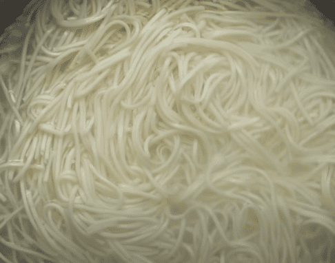 Hakka Noodles boiled